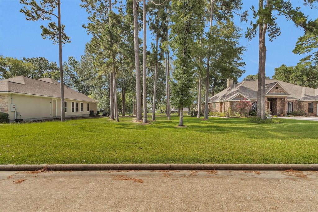 Photo of 19 Grey Moss Lane, Montgomery, TX 77356 (MLS # 80089150)
