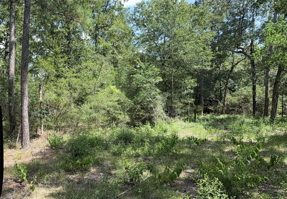 24805 NOTTINGHAM CIR, HOCKLEY, TX 77447 - Image 4f3da43fdfbd0229d65eb50f0d0e1b3c/205361701
