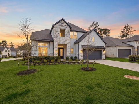 503 Carina Gaze Drive Conroe TX 77318