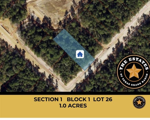 Vacant Land For Sale - 191 Hollow Hill Road<br/> New Waverly, TX 77358