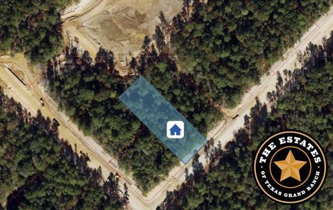 Photo of 191 Hollow Hill Road, New Waverly, TX 77358 (MLS # 13470098)