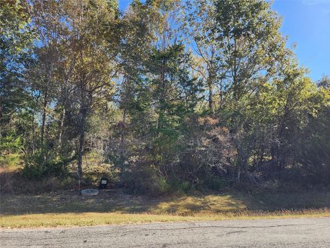 Photo of 10 N Forest Cove Loop, Coldspring, TX 77331 (MLS # 87547613)