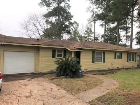 Photo of 1015 Pear Drive, Huntsville, TX 77320 (MLS # 62886135)