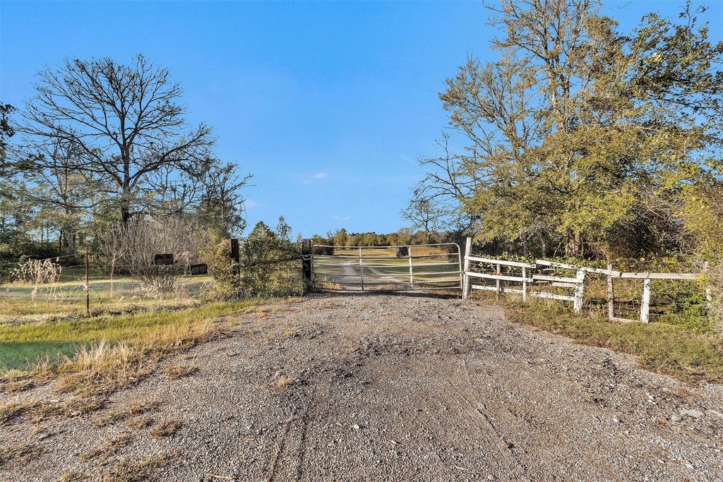 Photo of 70 Mutt Young Road, Huntsville, TX 77320 (MLS # 84976945)