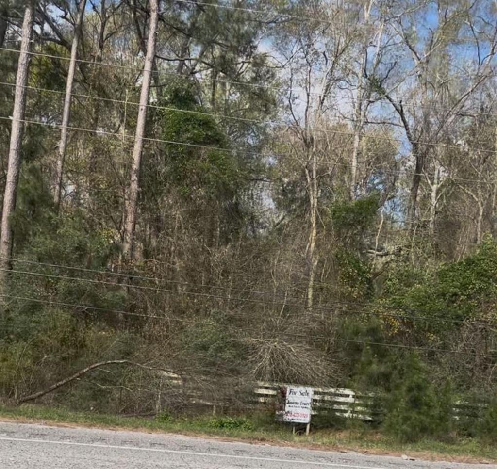 Photo of 29203 Fm 2100 Road, Huffman, TX 77336 (MLS # 34973128)