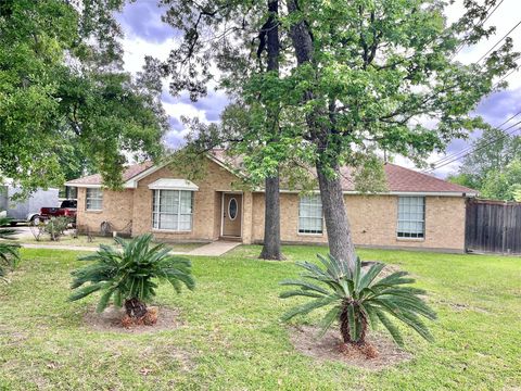 405 Wild Plum Street Houston TX 77013