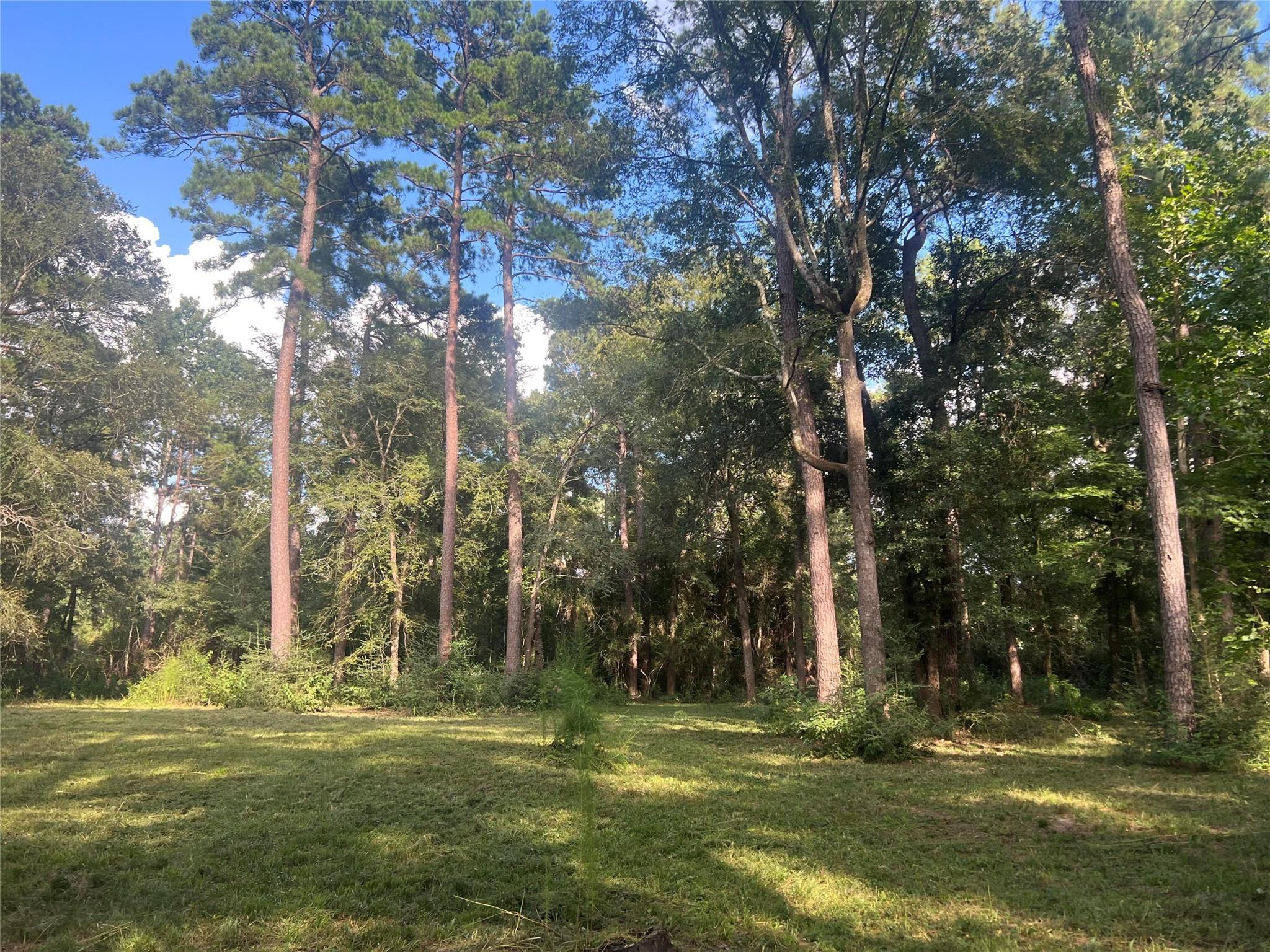 30403 Walnut Creek Road