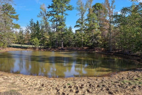 Photo of 0 Cr 1601, Avinger, TX 75630 (MLS # 28579406)