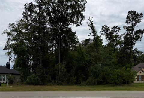 Photo of 31 Road 66111, Dayton, TX 77535 (MLS # 74738183)