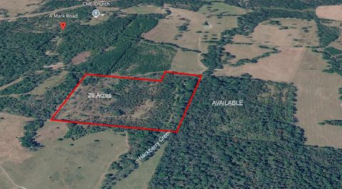 Photo of 0 Amark Road, Apple Springs, TX 75926 (MLS # 81797660)