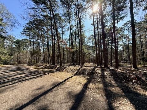 Photo of 220 Altwood Drive, Coldspring, TX 77331 (MLS # 63383369)