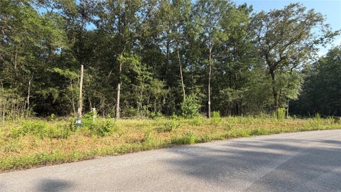 Photo of 209 Kings Court, Dayton, TX 77535 (MLS # 29886093)
