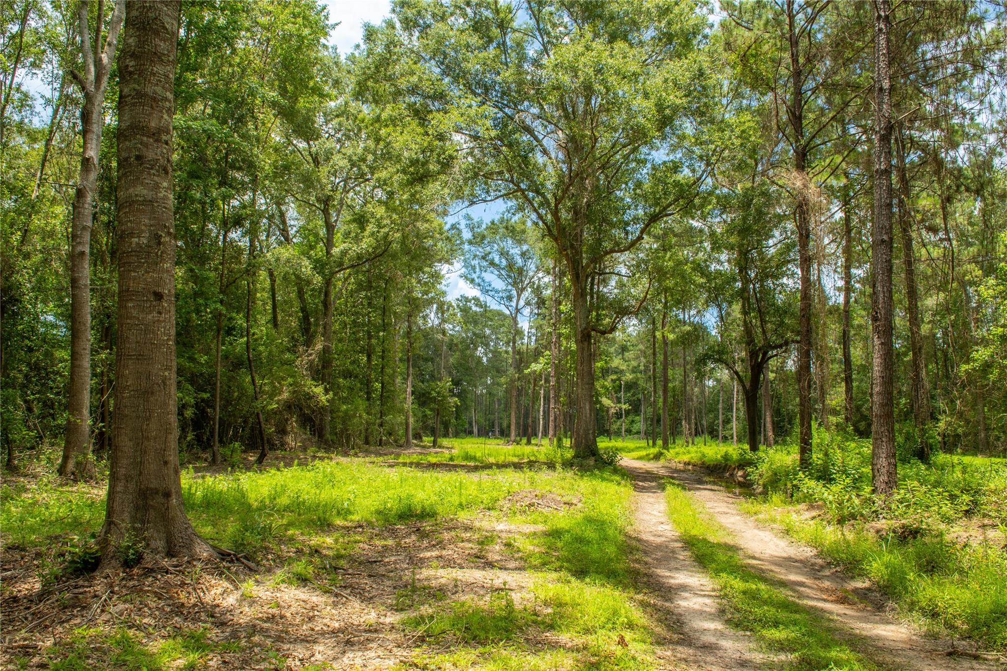 0 County Road 547