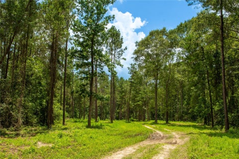 Photo of 0 County Road 547, Kirbyville, TX 75956 (MLS # 84088159)