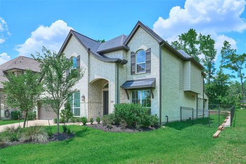 237 Patina Sorrel Drive Montgomery TX 77316