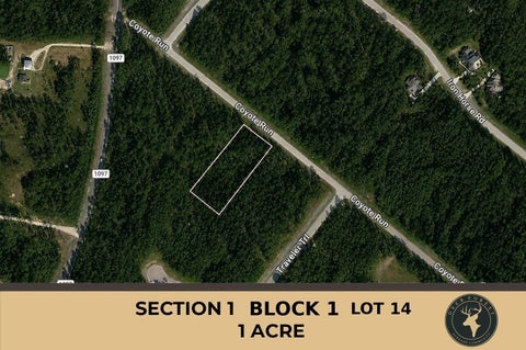 Vacant Land For Sale - 30 Coyote Run<br/> Walker County, Willis, TX 77378
