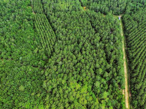 Vacant Land For Sale - Gates Rd<br/> Daisetta, TX 77533