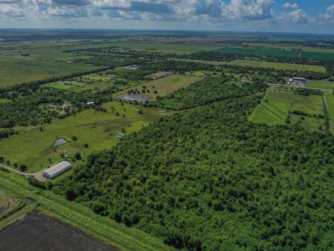 Tiny photo for 8 Fm 1462, Rosharon, TX 77583 (MLS # 48615501)