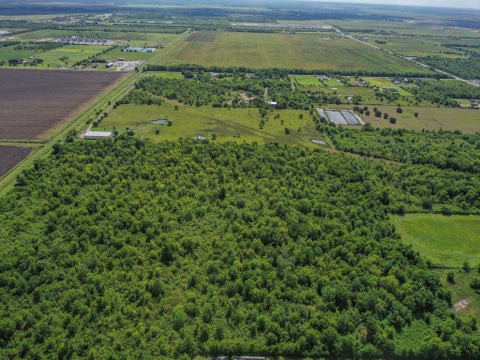Tiny photo for 8 Fm 1462, Rosharon, TX 77583 (MLS # 48615501)