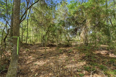 Vacant Land For Sale - 19909 Big Oak Drive<br/> Montgomery, TX 77356