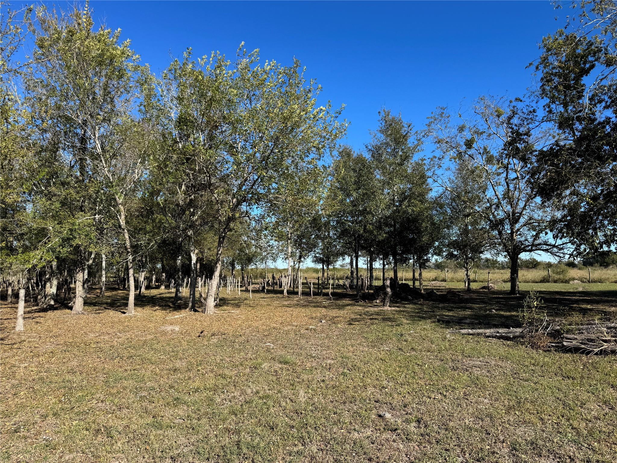 LOT 13 Mesquite Road