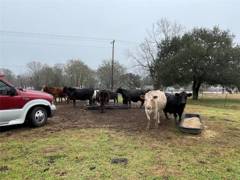 Vacant Land For Sale - TBD Tx-321<br/> Liberty County, Dayton, TX 77535