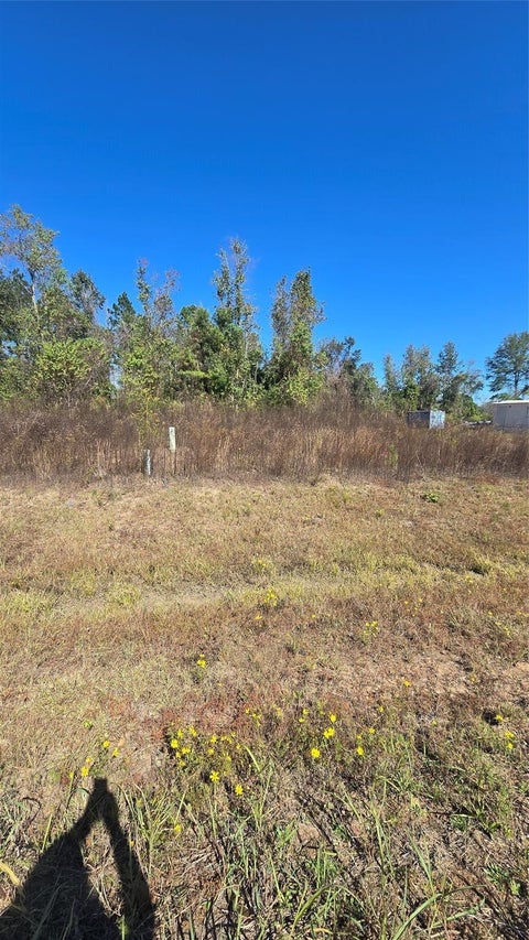 Vacant Land For Sale - 1167 Road 5894<br/> Liberty County, Cleveland, TX 77327