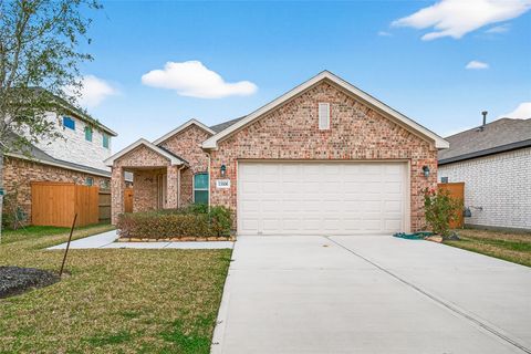 Homes For Sale - 13306 Dalvay Beach Drive<br/> Texas City, TX 77568