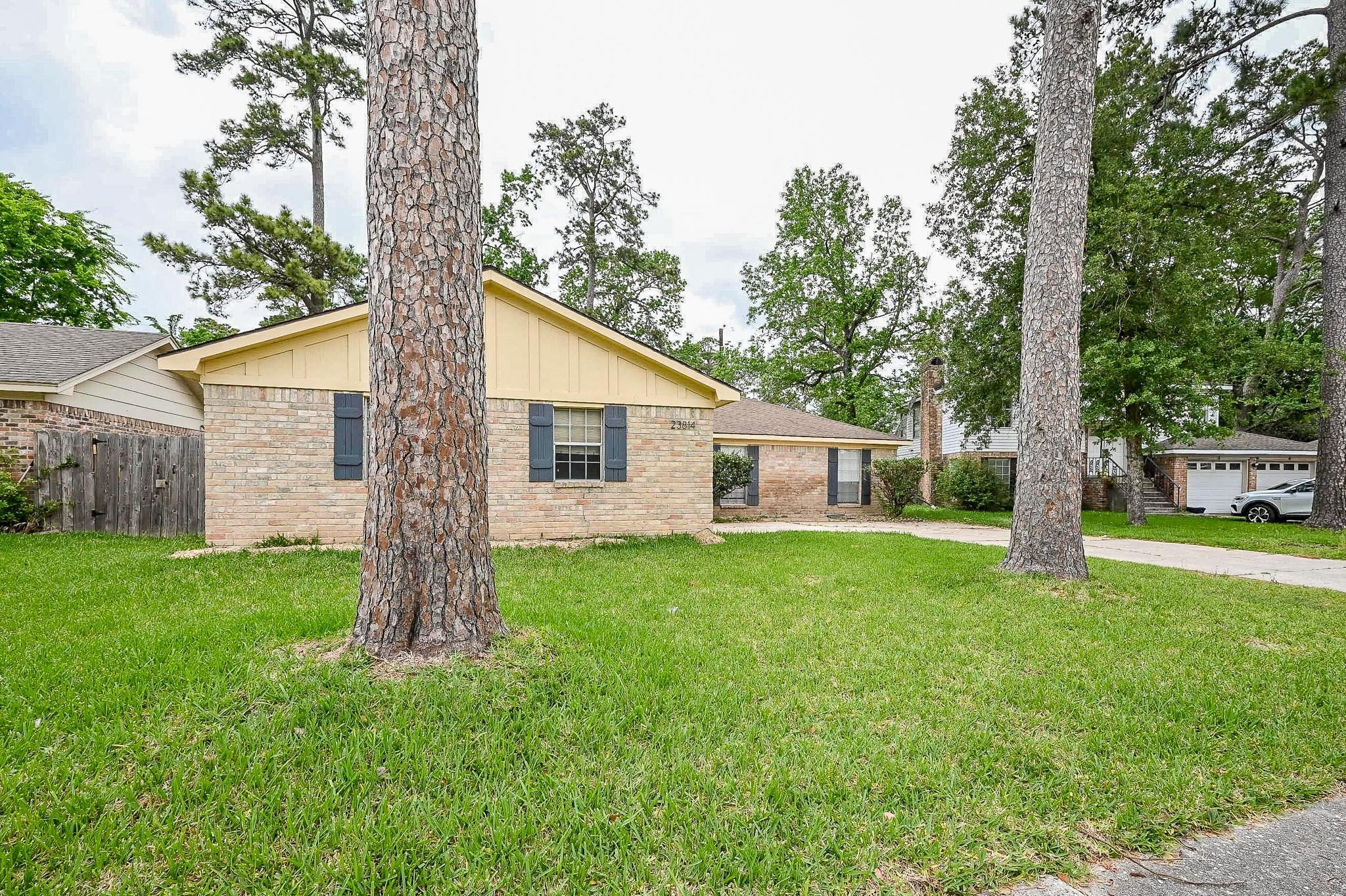 23814 Spring Gum Drive