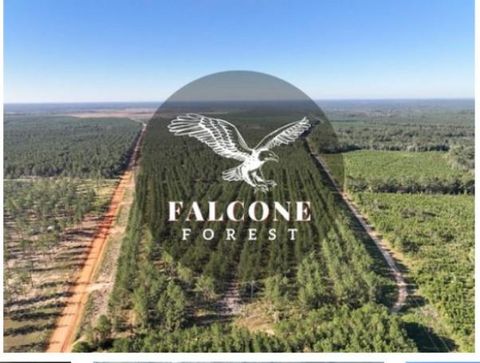 Photo of 0 Richardson Road E, Livingston, TX 77351 (MLS # 68263704)
