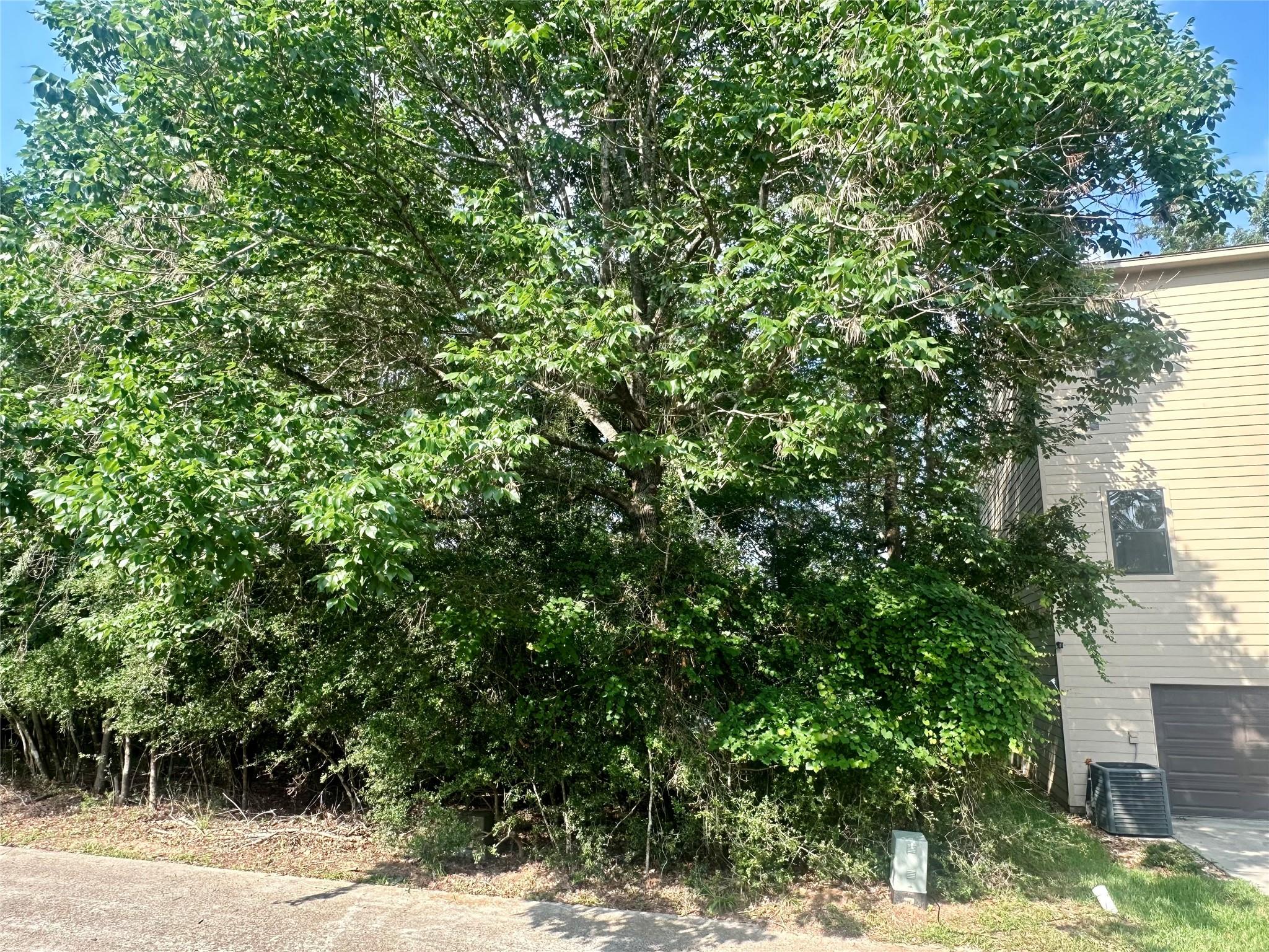 3146 Poe Drive