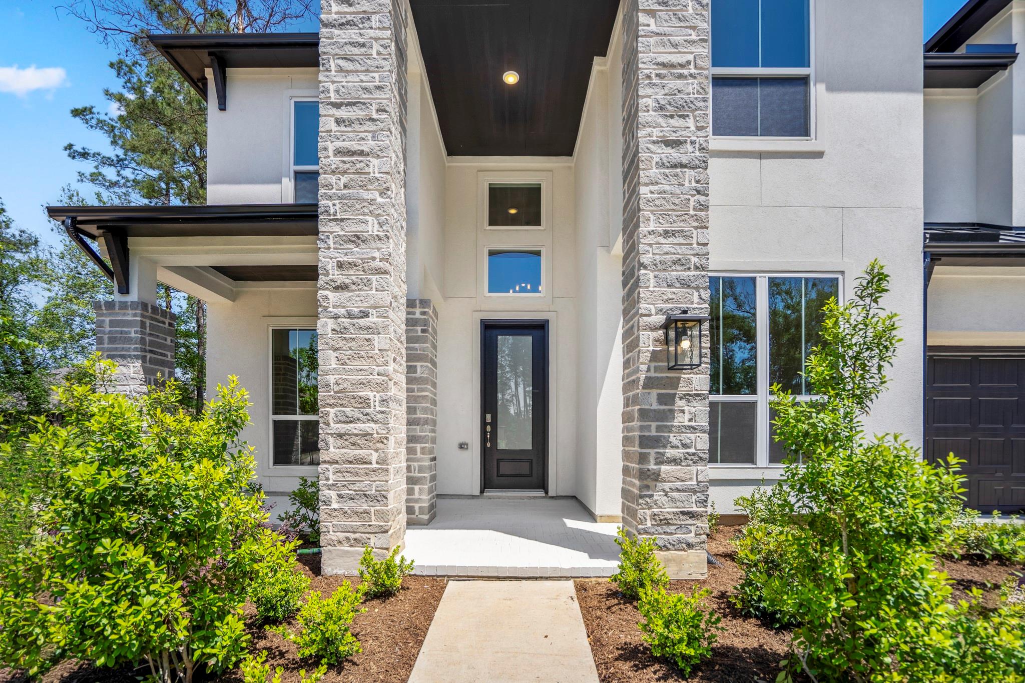 15715 Dandelion Dreams Street