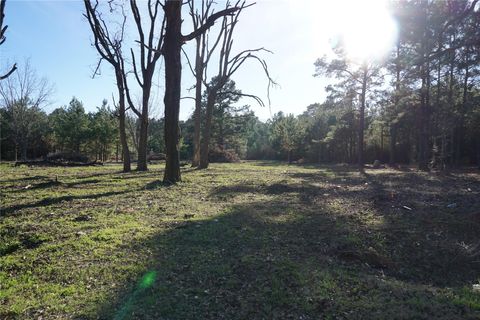 Vacant Land For Sale - 1087 County Road 318<br/> San Augustine County, San Augustine, TX 75972