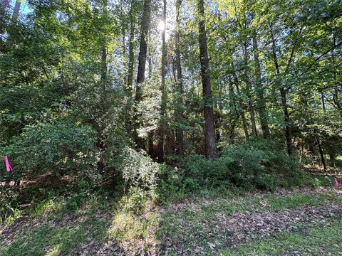 Photo of 16 Forrest Hollow, Trinity, TX 75862 (MLS # 10634152)