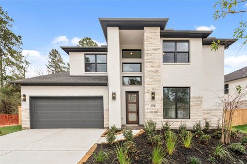 215 Warbler Song Drive Willis TX 77318