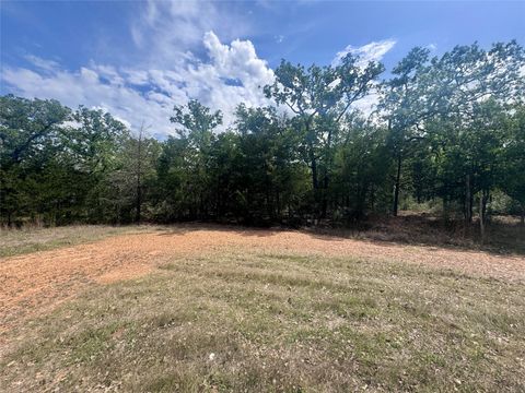 Photo of 405 Possum Run, Somerville, TX 77879 (MLS # 26718076)