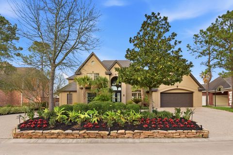 27 Pleasure Cove Drive The Woodlands TX 77381