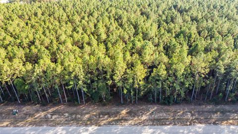 Photo of 1878 Road 66116, Dayton, TX 77535 (MLS # 42420705)