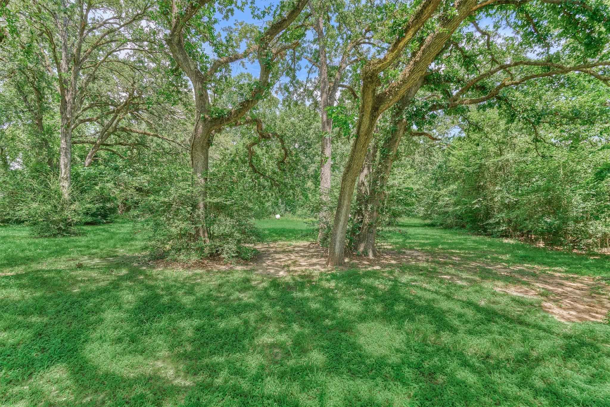 32214 Mink Creek Court