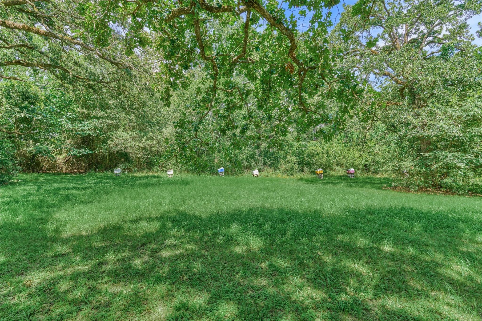 32214 Mink Creek Court