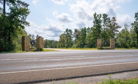 Photo of 39 Coyote Run, New Waverly, TX 77358 (MLS # 74835025)