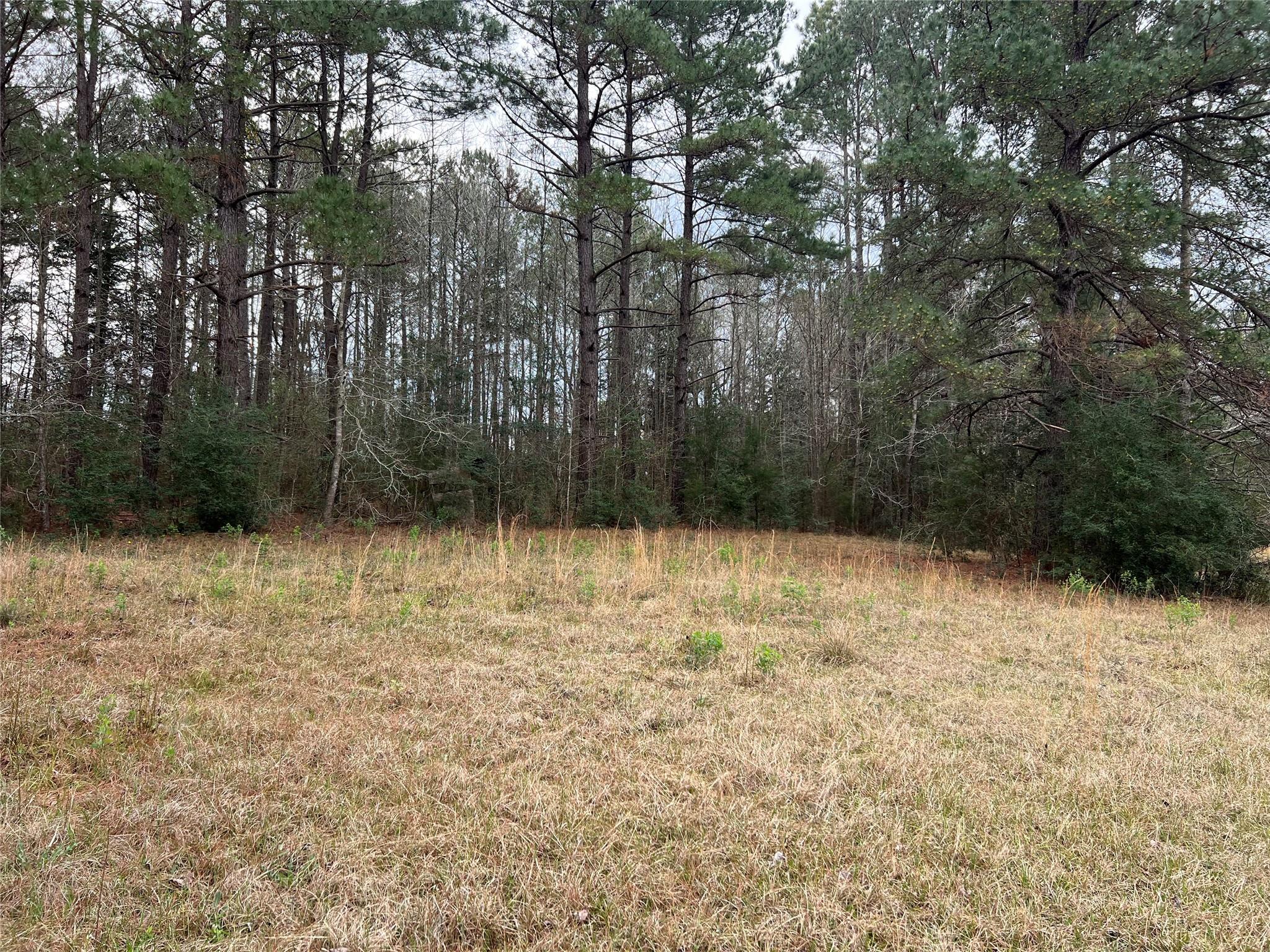 TBD State Highway Loop 116