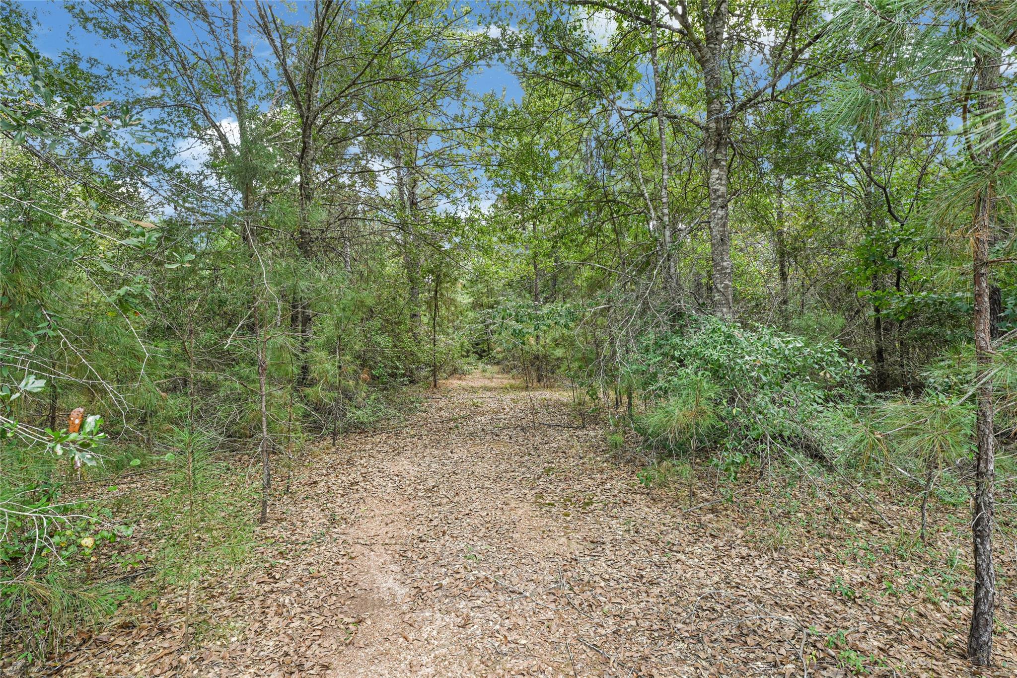 21490 Big Buck Drive