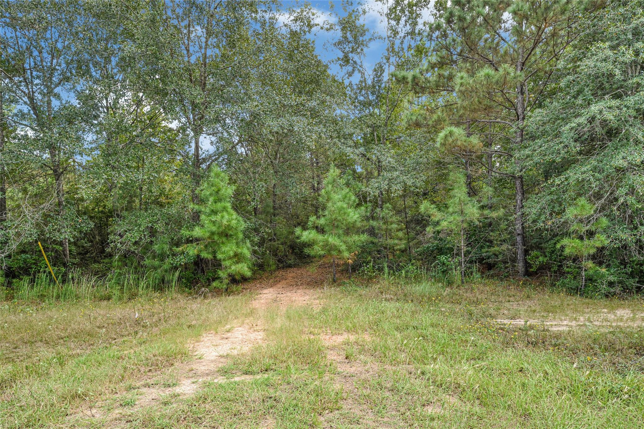 21490 Big Buck Drive