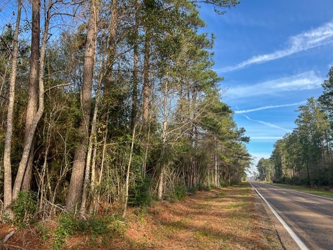 Vacant Land For Sale - 10 Fm 787<br/> Hardin County, Saratoga, TX 77585
