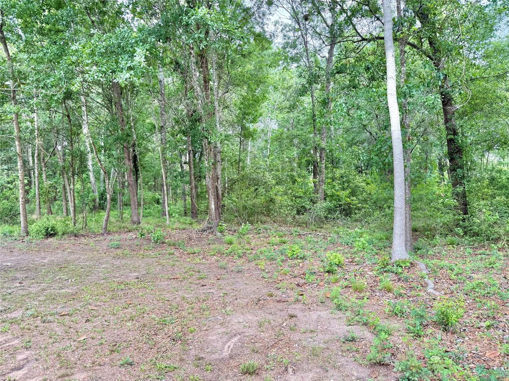 Photo of 1184 County Road 2298, Cleveland, TX 77327 (MLS # 62279185)