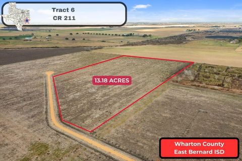 Vacant Land For Sale - 00 Cr 211<br/> East Bernard, TX 77435
