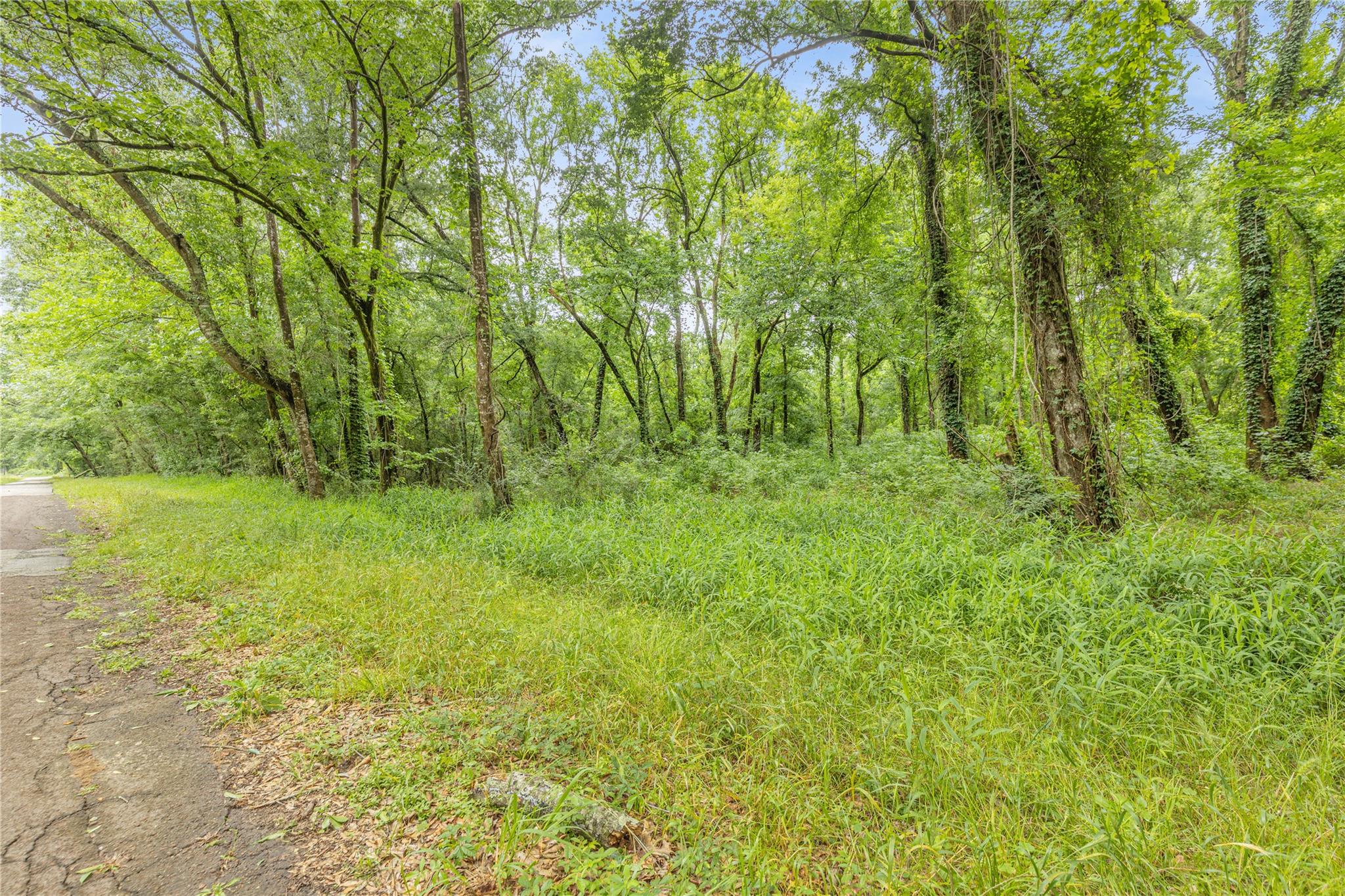 12572 Royal Creek Road