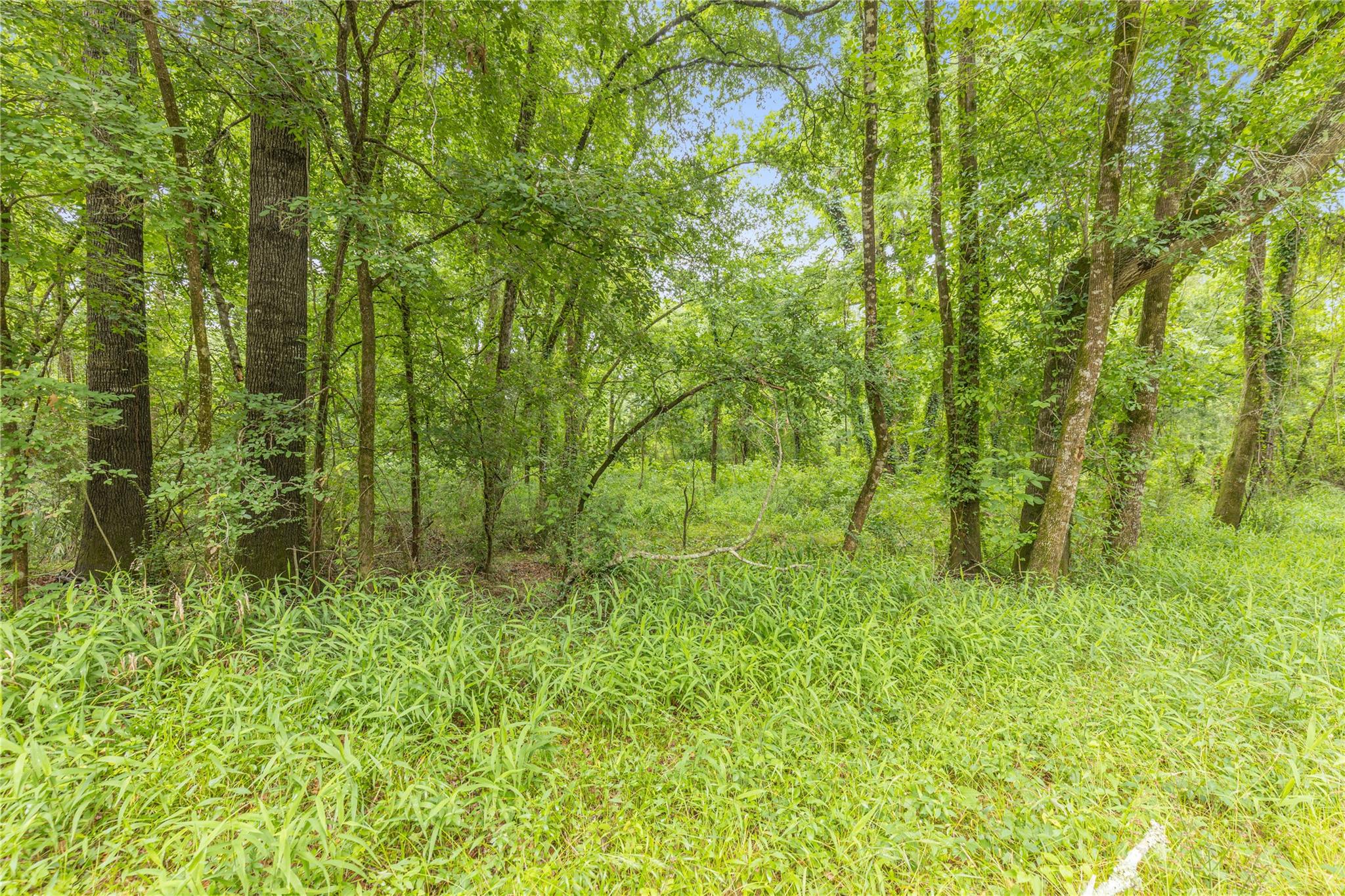 12572 Royal Creek Road