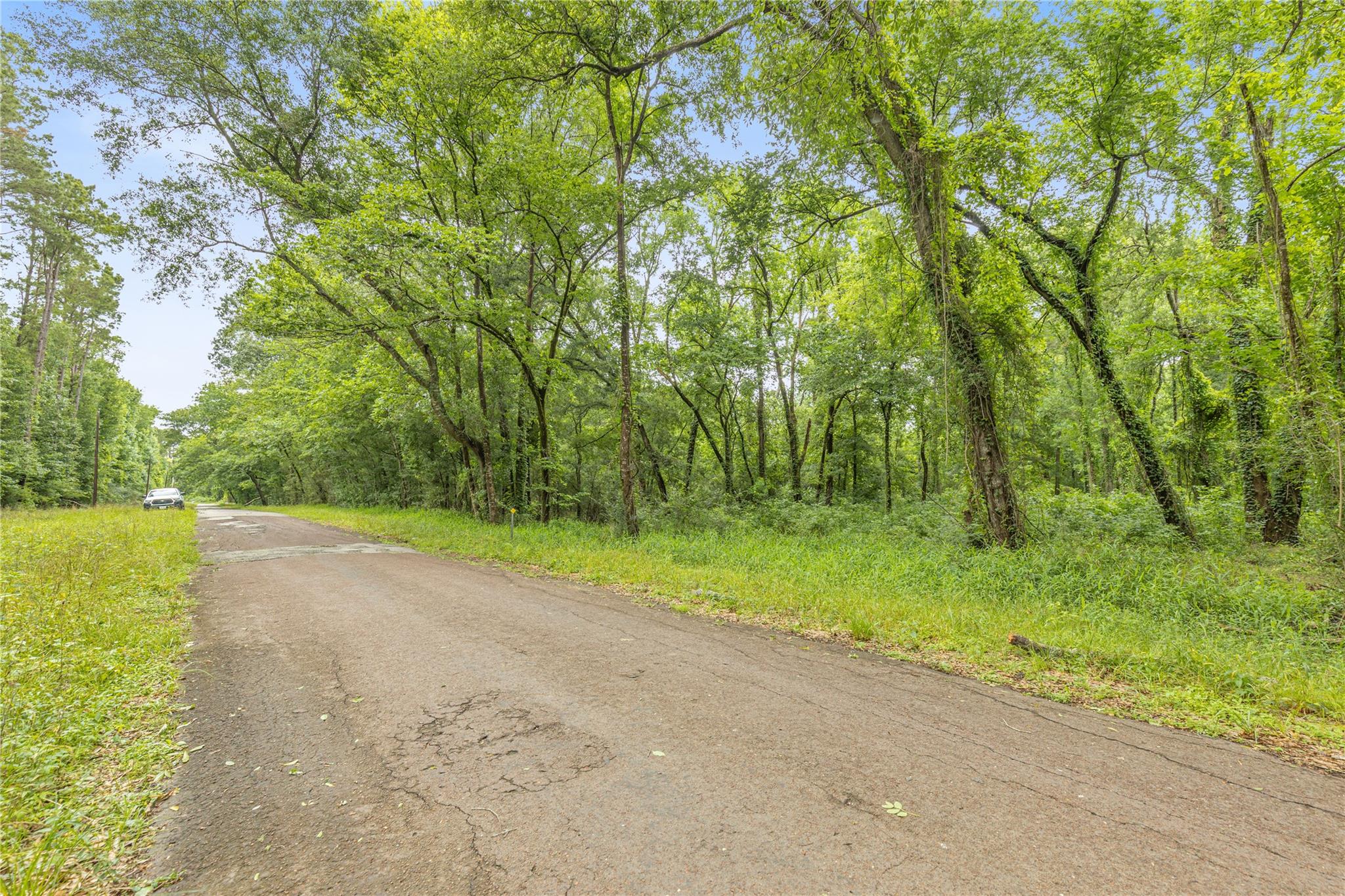 12572 Royal Creek Road